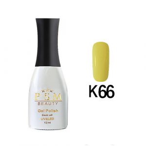 לק ג'ל K66 | פיאסאם PSM